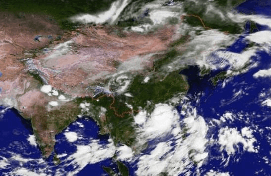 “天鴿”來(lái)臨，因安裝低質(zhì)報(bào)警器損失10萬(wàn)