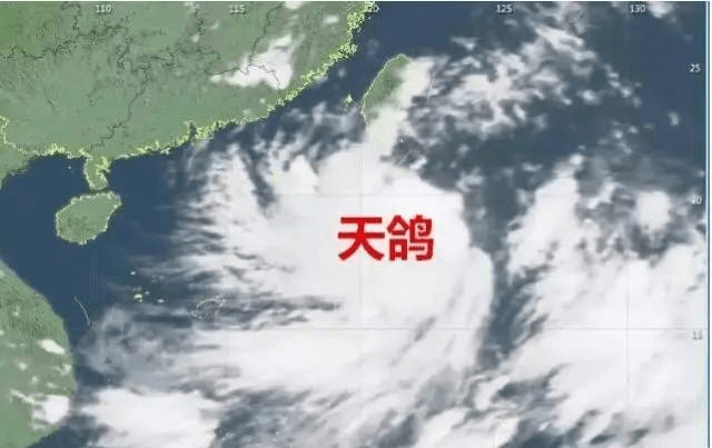 “天鴿”來(lái)臨，因安裝低質(zhì)報(bào)警器損失10萬(wàn)