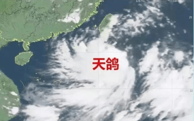 “天鴿”來臨，因安裝低質(zhì)報警器損失10萬